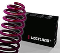 Audi A5 Coupe B9 Lowering Springs Vogtland
